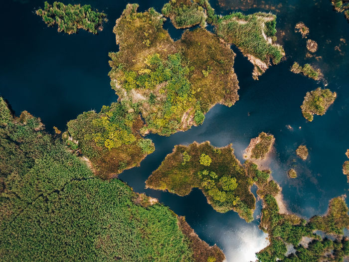 Aerial view of trees on islands