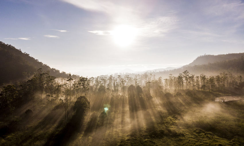 Sunlight streaming through trees on landscape against sky