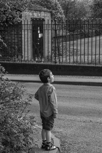 Rear view of boy walking on fence