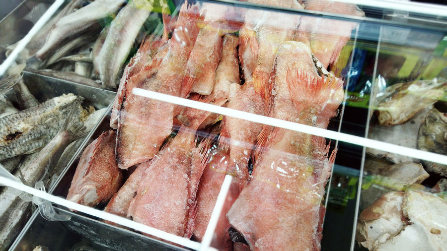 High angle view of fish for sale at market