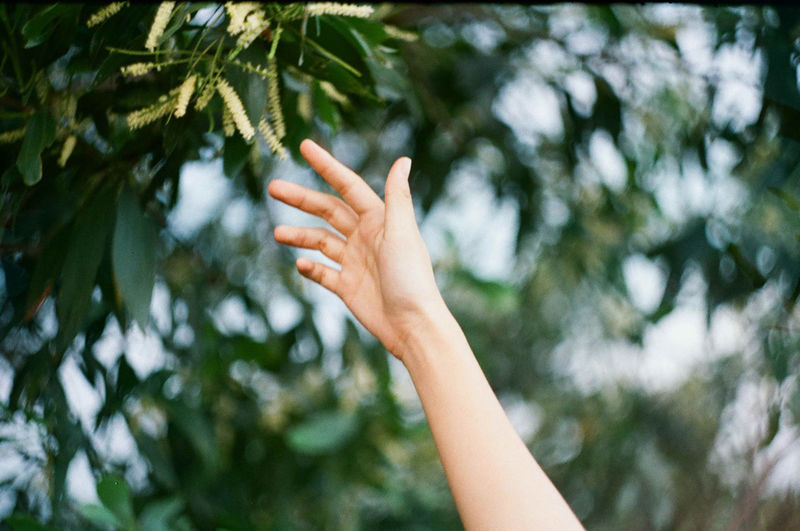 Cropped image of hand reaching towards twig