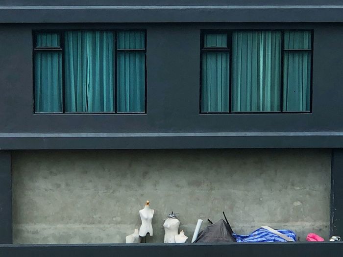 Low angle view of cat by window on building