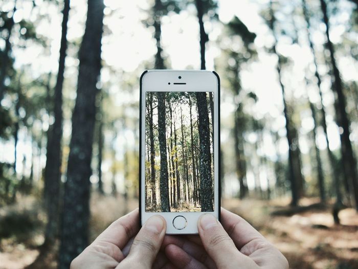 Close-up of hand holding mobile phone