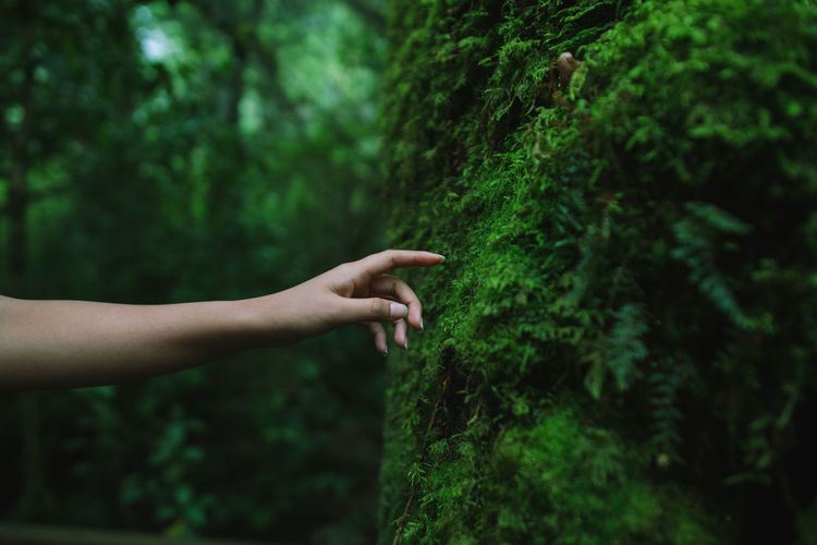 Cropped hand of woman reaching moss