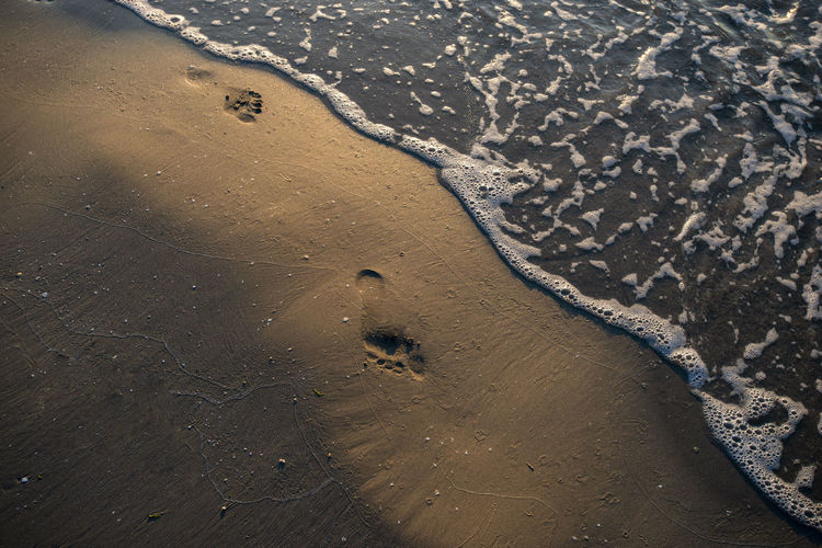 High angle view of footprints on wet sand at beach
