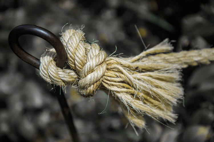 Close-up of ropes tied on rope