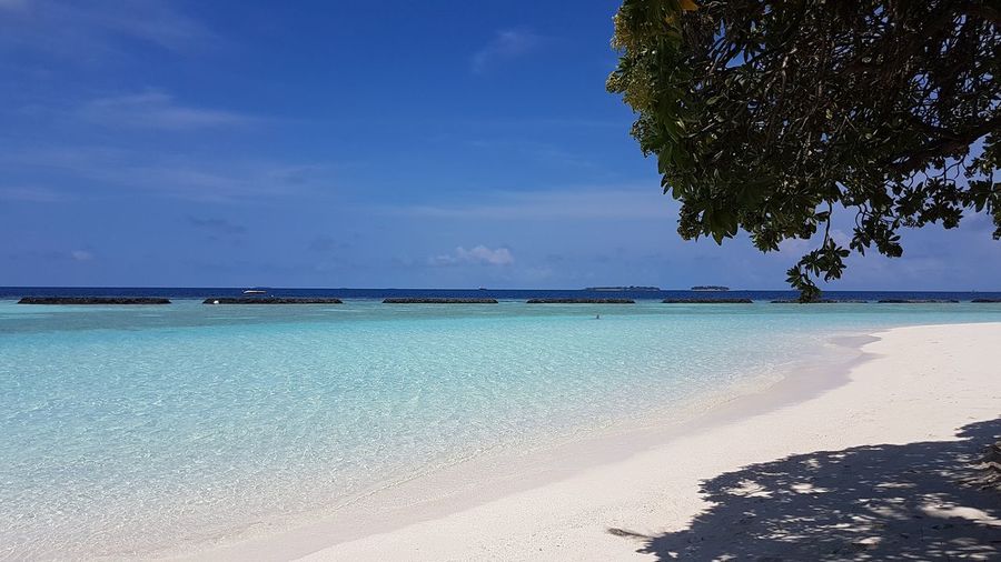 Scenic view of beach against blue sky