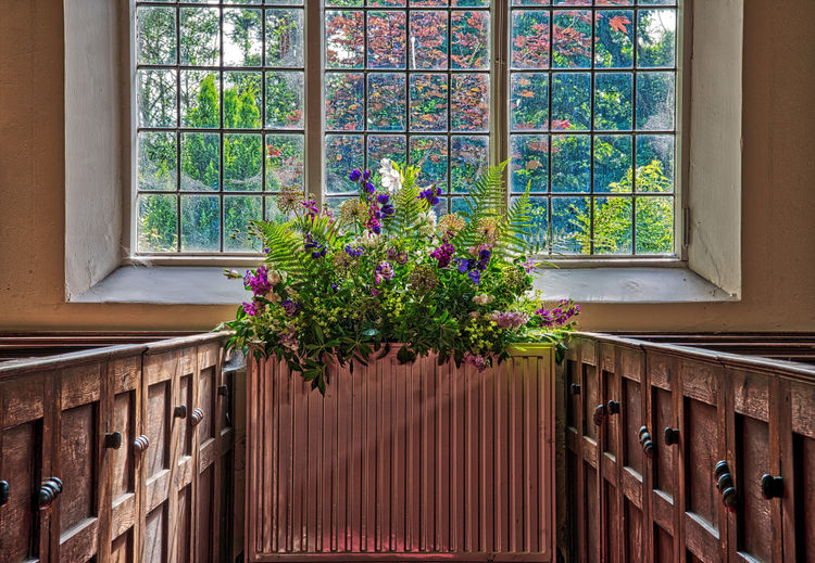 Potted plant against window of building