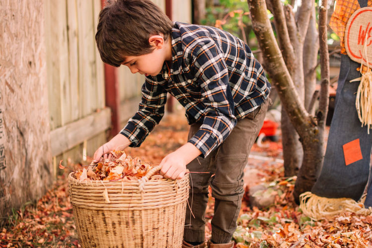 Side view of a boy looking at basket