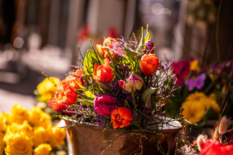 Different flowers and seedlings near the florist flower shop entrance, spring time, easter concept