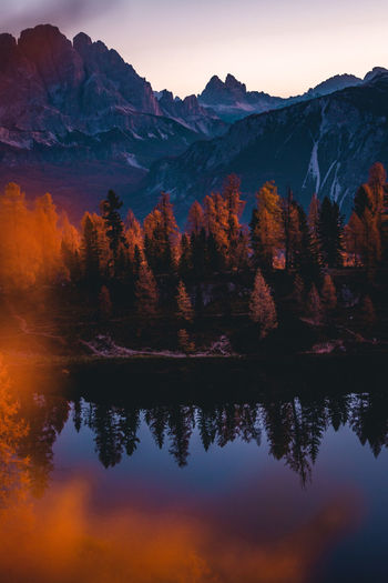 Scenic view of lake by trees against sky during sunset