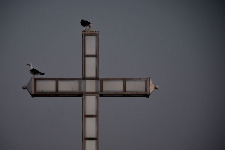 Low angle view of bird perching on cross against clear sky