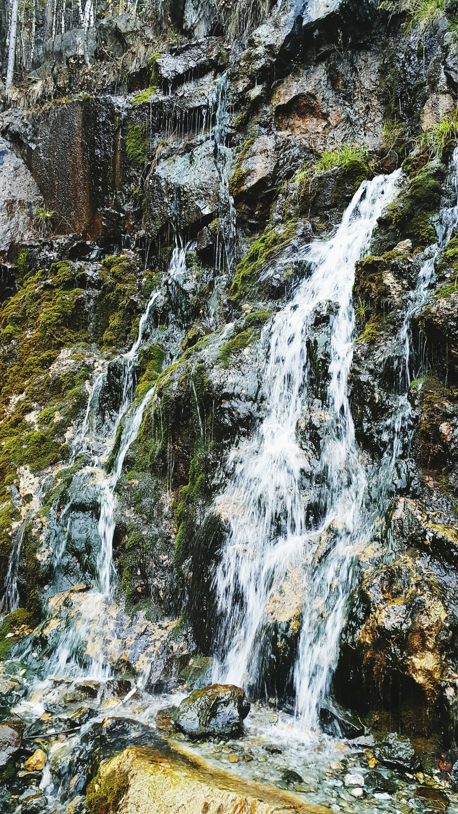 flowing water, waterfall, motion, water, flowing, tree, nature, forest, long exposure, beauty in nature, rock - object, stream, scenics, outdoors, day, growth, no people, blurred motion, river, plant