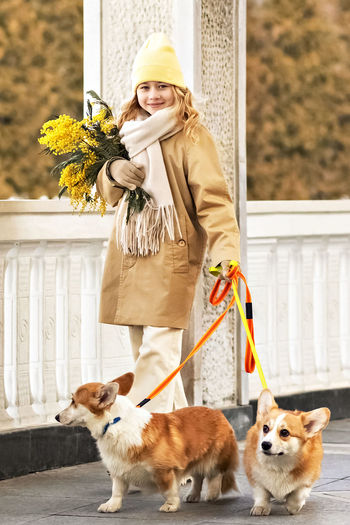 A toddler girl in a coat and fur headphones with a corgi dog in the park. holds a bouquet of acacia