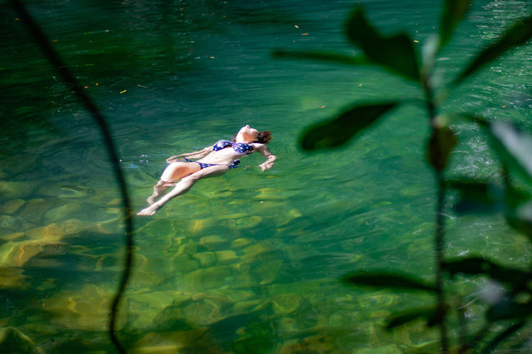 High angle view of woman swimming in lake