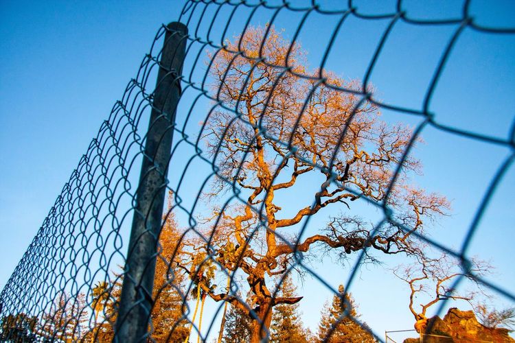 Low angle view of chainlink fence against clear sky