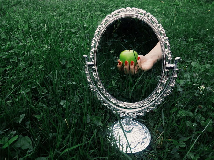 Reflection of hand with apple in mirror on field