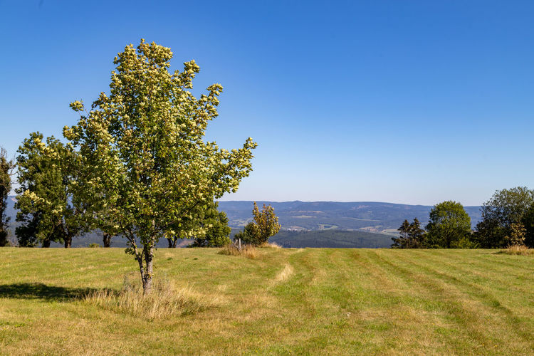 Scenic view of the landscape from the top of the dolmar mountain in thuringia