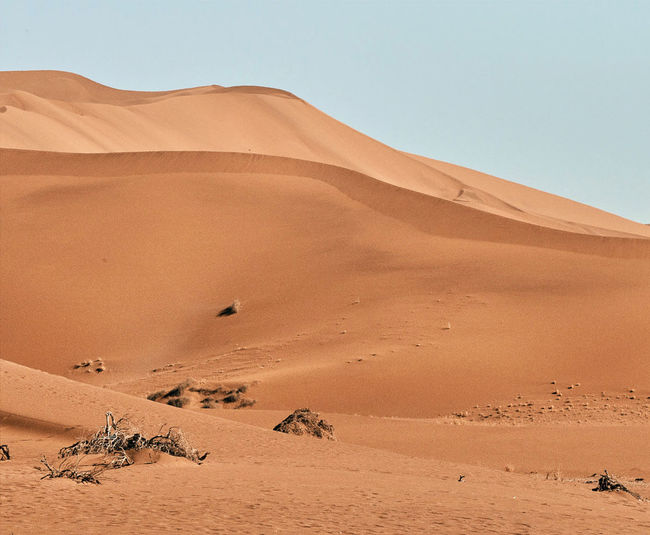 Scenic view of desert against clear sky