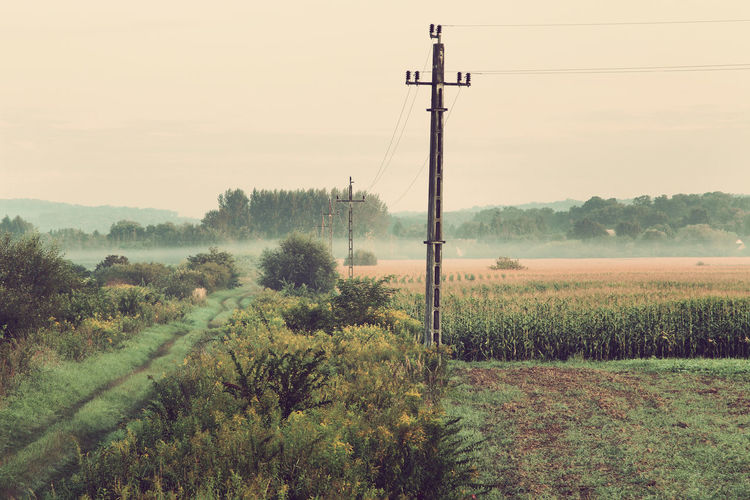 Telephone pole on agricultural field against sky