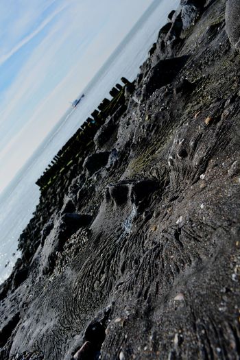 Close-up of sea shore against sky