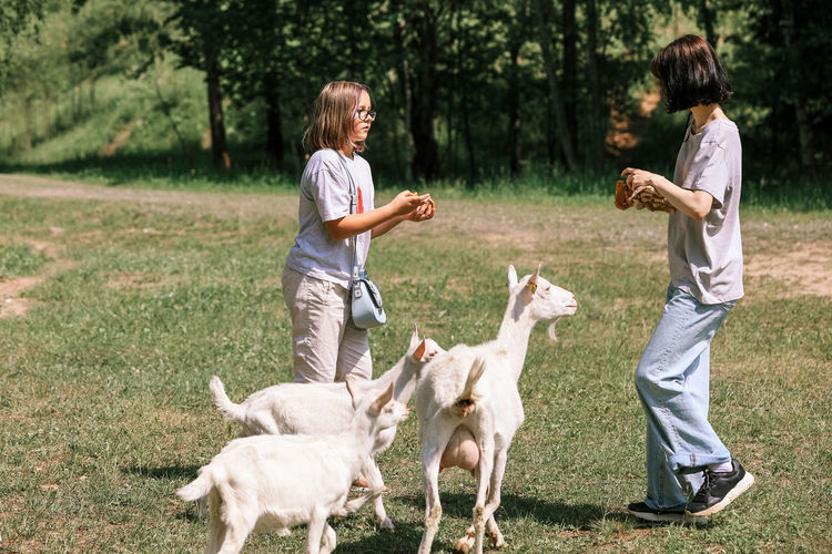 Girls feed goats in a clearing in the forest