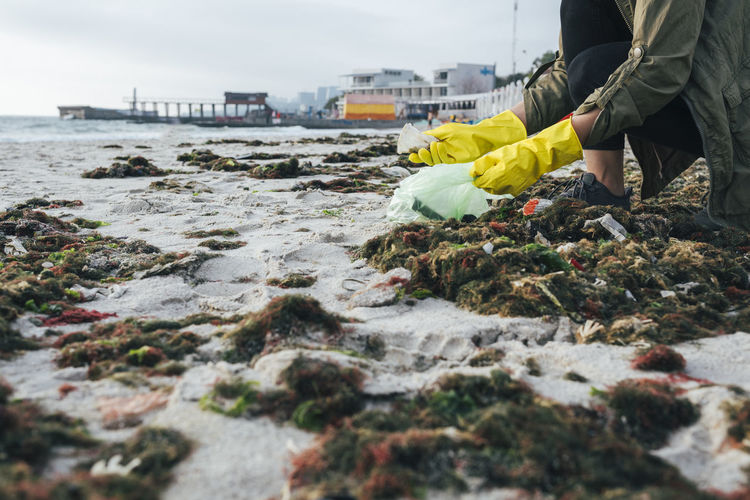 Environmentalist wearing gloves collecting plastic waste at beach