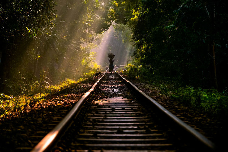 Silhouette person walking on railroad tracks in forest