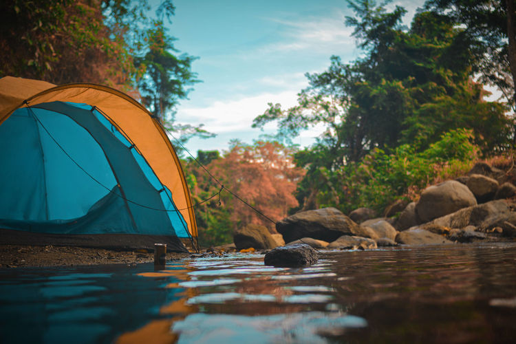 Surface level view of tent by water in forest