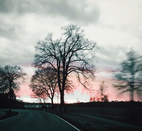 Road passing through bare trees against cloudy sky
