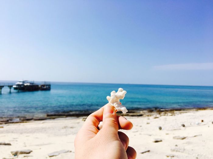 Close-up of cropped hand holding dead coral at beach