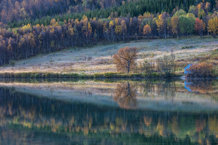 Reflection of autumn trees on lake in forest