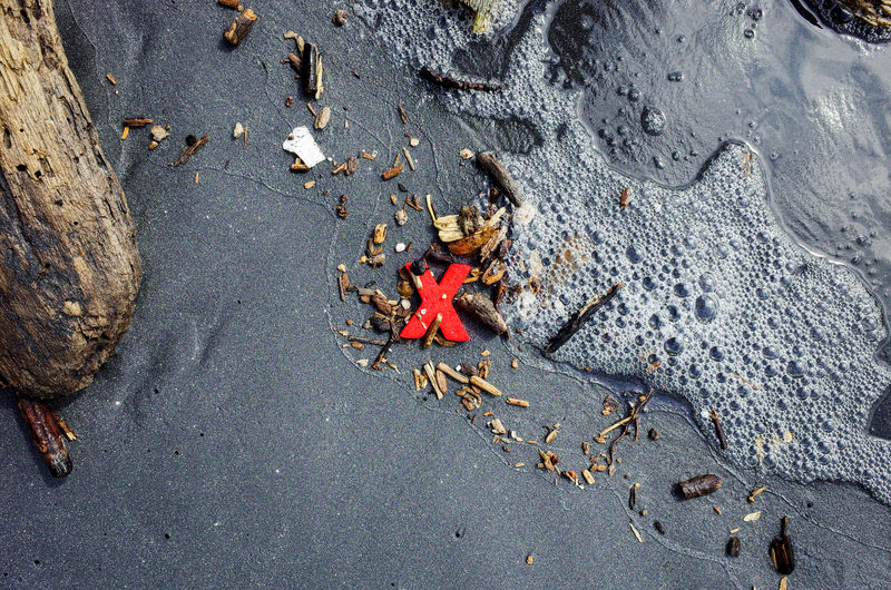 High angle view of starfish on beach
