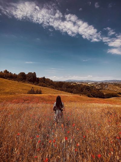 Scenic view of field against sky