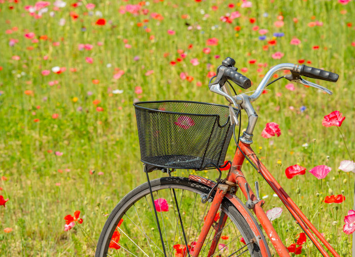 Pink bicycle in flowery field