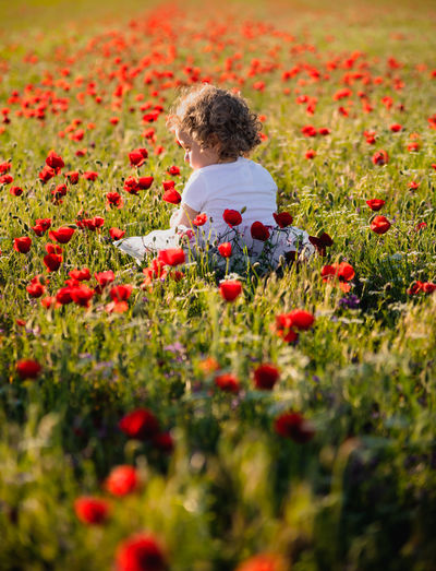 Rear view of woman standing amidst flowers on field
