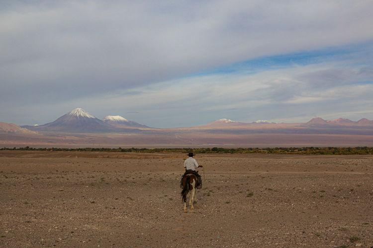 Rear view of man riding on desert