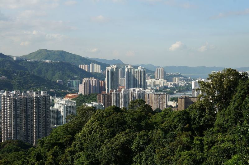 Trees and buildings against sky in city