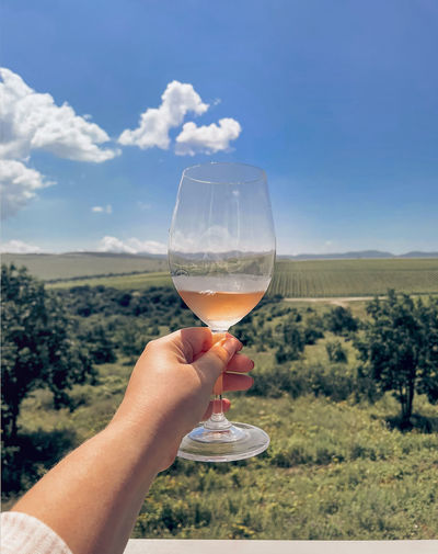 Cropped hand of woman holding wineglass