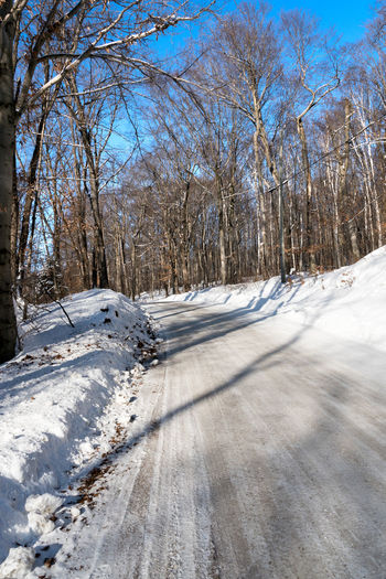 Snow covered road amidst trees against sky