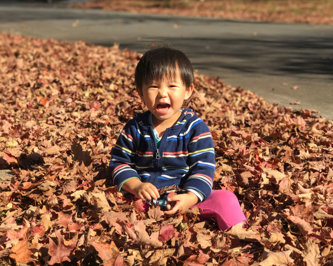 Cute girl sitting in autumn leaves 