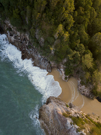 High angle view of beach by forest