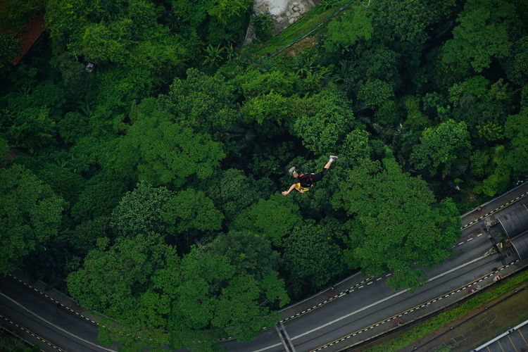 Aerial view of man base jumping over trees