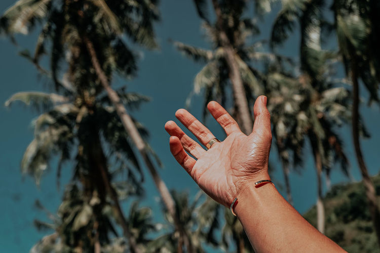 Close-up of hand gesturing against trees