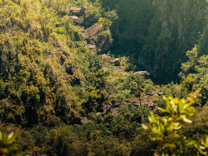 Green mountains landscape with ravine texture from the cañon san cristobal in puerto rico.