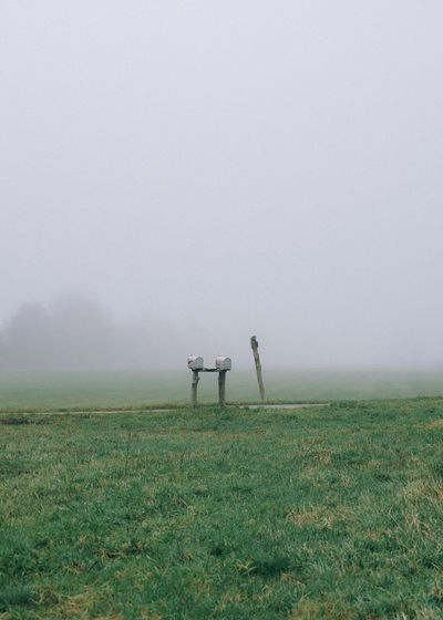 Mailboxes on grassy field during foggy weather