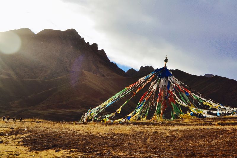 Prayer flags on field by mountains against sky
