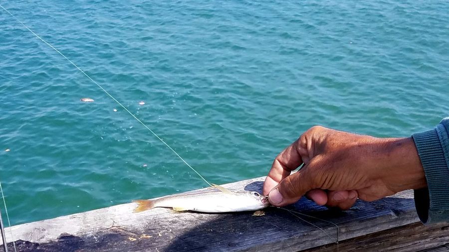 Close-up of hand holding fish hook and tiny fish against ocean water 