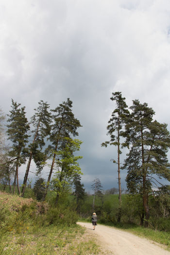 Rear view of man walking on field against sky
