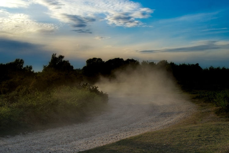 Dust cloud created by a vehicle on a track in the new forest under a dramatic sky.